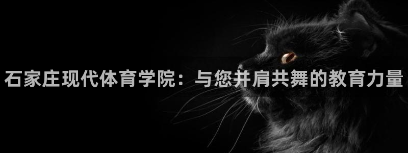 3377体育官方正版app五金厂:石家庄现代体育学院:与您并