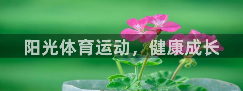 3377体育官网下载招商电话号码是多少啊:阳光体育运动,健康